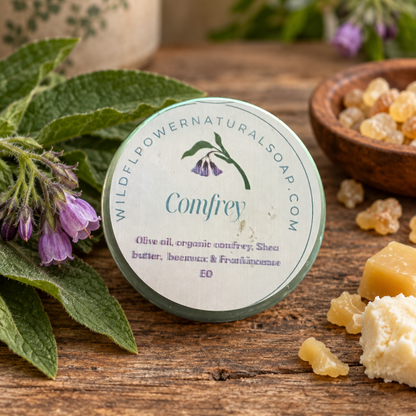 Comfrey