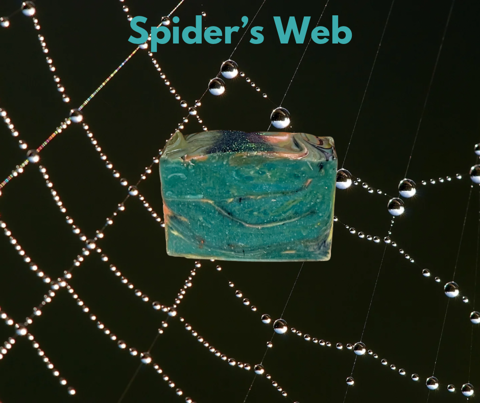 Spider's Web